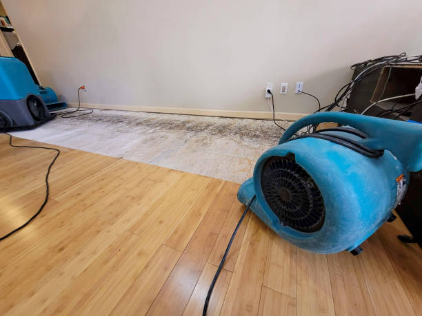 Professional Water Extraction technician working in Sewickley, PA